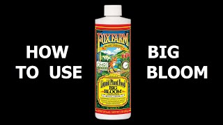 How to Use Big Bloom Liquid Fertilizer By Foxfarm [upl. by Wareing]