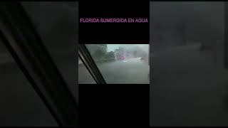 DILUVIO EN FLORIDA [upl. by Omsoc]