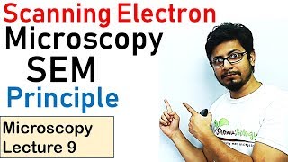 Scanning electron microscope principle working SEM [upl. by Savior]