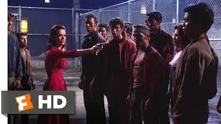 West Side Story 1010 Movie CLIP  Killed By Hate 1961 HD [upl. by Melisa]