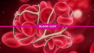 Coagulation Cascade Explained [upl. by Cristal]