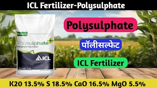 Polysulphate  Icl polysulphate fertilizer  Polysuphate icl company [upl. by Dier]