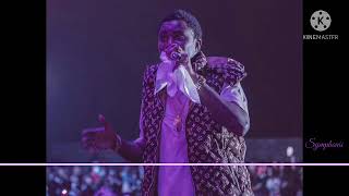 Wally B Seck Live 2021 Gambia Syphonie mp4 [upl. by Wendeline497]