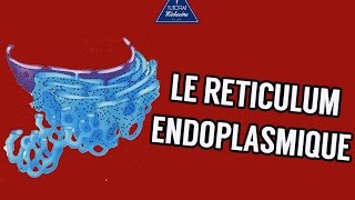 02  Le Réticulum endoplasmique [upl. by Doowle]