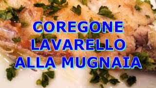 COREGONE  LAVARELLO ALLA MUGNAIA [upl. by Danziger]