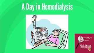 A day in hemodialysis [upl. by Navarro]