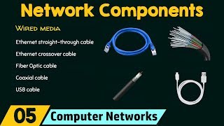 Components of a Computer Network [upl. by Eyr]