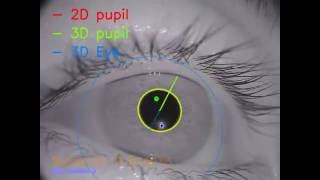 Fast Accurate Opensource Eye Tracking [upl. by Esserac]