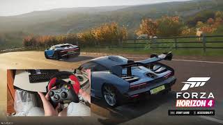 Forza Horizon 45 with Logitech WingMan Formula Force GP Tutorial [upl. by Derfnam624]