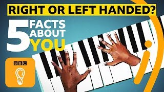 Right or lefthanded 5 facts about you  BBC Ideas [upl. by Marka]