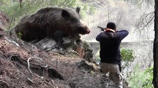 Dev Gibi Azılı Domuz Avı Wild Boar Hunting [upl. by Xavier]