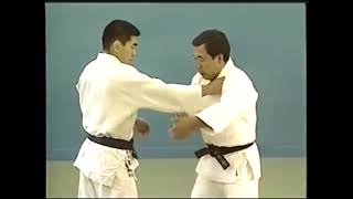 Judo joint locks – kansetsu waza [upl. by Kostival50]