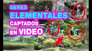 SERES ELEMENTALES CAPTADOS EN VIDEOS [upl. by Haridan75]