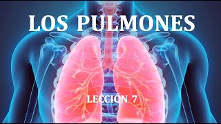 7 LOS PULMONES [upl. by Ralyat]