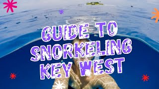 Your Key West Snorkeling Guide [upl. by Octavus]