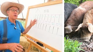 Joel Salatin Teaches Pasture Pigs for Profit [upl. by Nitnilc603]