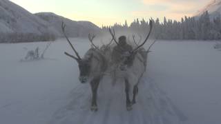 Reindeer Sleigh Ride in Oymyakon Yakutia Siberia Russia Winter Travel [upl. by Nahshon]