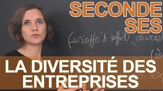 La diversité des entreprises  SES  Seconde  Les Bons Profs [upl. by Eeb]