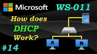 DHCP Explained Step by Step Tutorial  WS011  Ep14 [upl. by Nero396]