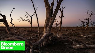 The Vanishing Water of the MurrayDarling Basin [upl. by Marcie]