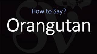 How to Pronounce Orangutan CORRECTLY [upl. by Naoh945]