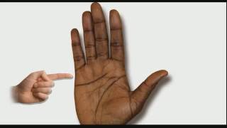 CHILDREN LINES Female Palm Reading Palmistry 100 [upl. by Bopp]