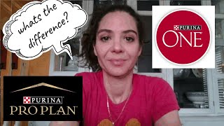 Dog food review Purina One vs Purina Pro Plan What is the difference between the brands [upl. by Clemmy31]