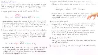 Properties of Enzymes [upl. by Remark75]