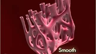 Endoplasmic Reticulum Smooth 3D [upl. by Bonn198]