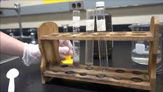 Investigating Enzymes in Liver [upl. by Clyde]