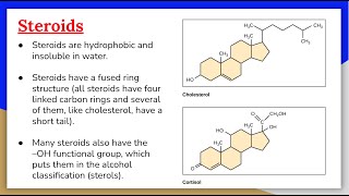 Lipids 3 Steroids Cholesterol and Steroid Hormones [upl. by Arraik]