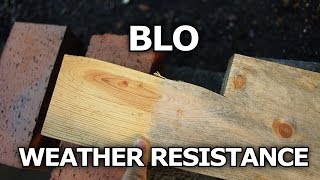 Boiled Linseed Oil Weather Resistance On Wood [upl. by Wardieu]