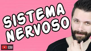 SISTEMA NERVOSO  FISIOLOGIA  Aula  Biologia com Samuel Cunha [upl. by Haymes]