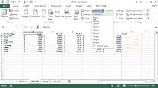 Microsoft Excel  Print Scaling [upl. by Nnoryt]