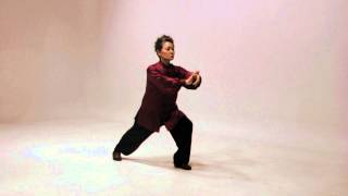 Simplified 24 Tai Chi routine [upl. by Armin]