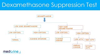 Dexamethasone Suppression Test How it is done and interpretation of the findings [upl. by Herrod]