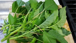 How To Prepare Jamaican Callaloo For Cooking  Chris De La Rosa  FoodFAQ [upl. by Taro]