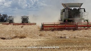 ClaasFendt  Getreideernte  Grain Harvest 2019 [upl. by Sarnoff382]