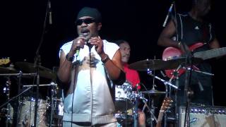 Toots and the Maytals Reggae Got Soul [upl. by Naloc922]