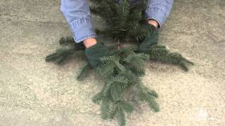 How To Properly Shape an Artificial Christmas Tree Branch [upl. by Meredith]