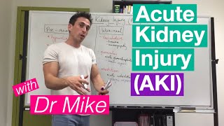 Acute Kidney Injury AKI [upl. by Anahpets]