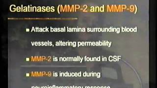 Matrix Metalloproteinases in Demyelinating Disease [upl. by Archibaldo244]