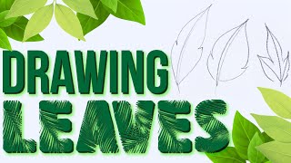 Drawing Basics  Easy Way To Draw A Leaf [upl. by Lenes]