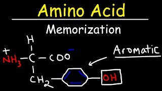 Memorize The 20 Amino Acids  The Easy Way [upl. by Umberto]