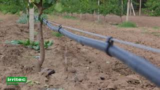 Irritec Drip Irrigation Solutions 2 [upl. by Kado438]