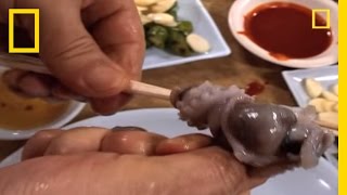 Would You Eat Live Octopus  National Geographic [upl. by Noyk262]