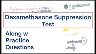 Dexamethasone Suppression Test High dose vs Low dose  Cushing Syndrome  USMLE  MCQs [upl. by Akelahs]