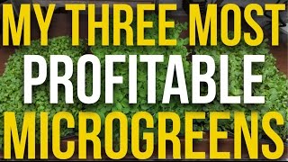 My 3 Most Profitable Microgreens [upl. by Prosser]