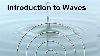 Physics Waves Frequency amp Wavelength FREE Science Lesson [upl. by Ahsotan683]