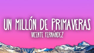 Vicente Fernández  Un Millón de Primaveras [upl. by Hashimoto221]